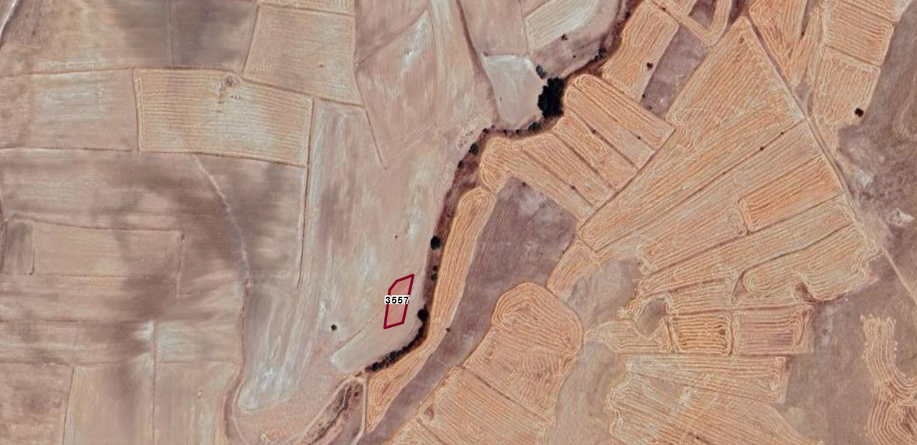 KAYSERİ BÜNYAN HAZERŞAH  KÖYÜNDE  1.000  M² TARLA SATILIKTIR - KAYSERİ BÜNYAN fotoğraf 4